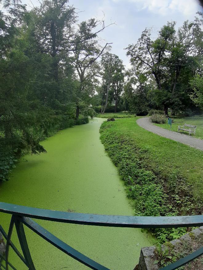 Utulny 公寓 Veselí nad Moravou